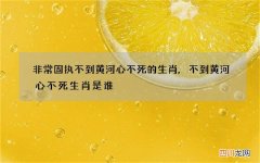 非常固执不到黄河心不死的生肖,不到黄河心不死生肖是谁