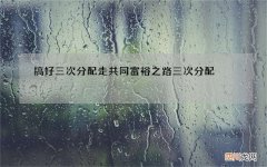 搞好三次分配走共同富裕之路 三次分配 共同富裕
