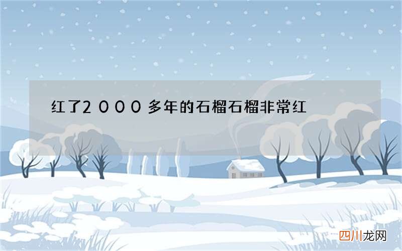 红了2000多年的石榴 石榴非常红