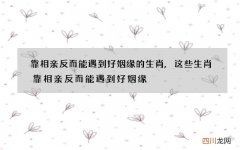 靠相亲反而能遇到好姻缘的生肖,这些生肖靠相亲反而能遇到好姻缘
