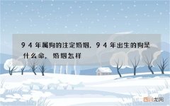 94年属狗的注定婚姻，94年出生的狗是什么命,婚姻怎样