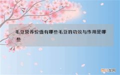 毛豆营养价值有哪些毛豆的功效与作用是哪些