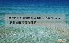 参与DNA复制的酶及蛋白因子 参与dna复制的酶和蛋白因子