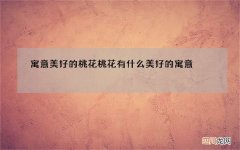 寓意美好的桃花 桃花有什么美好的寓意