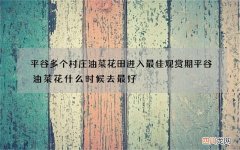 平谷多个村庄油菜花田进入最佳观赏期 平谷油菜花什么时候去最好