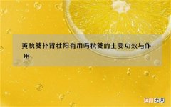 黄秋葵补肾壮阳有用吗 秋葵的主要功效与作用