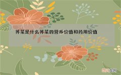 荠菜是什么 荠菜的营养价值和药用价值