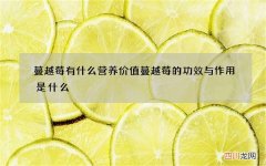 蔓越莓有什么营养价值 蔓越莓的功效与作用是什么