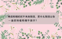 佛说婚姻迟迟不来的原因，是什么原因让你一直坚持着婚姻不放手？