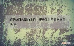 绝不吃回头草的生肖,哪些生肖不喜欢吃回头草