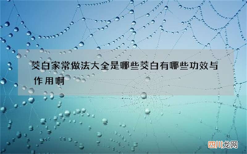茭白家常做法大全是哪些 茭白有哪些功效与作用啊