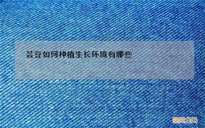 芸豆如何种植生长环境有哪些