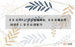 88龙男91羊女婚姻解析，88年属龙男的和91年羊女相配不?