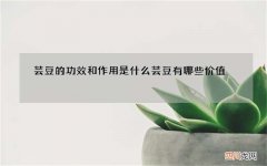 芸豆的功效和作用是什么 芸豆有哪些价值