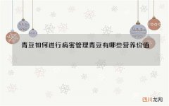 青豆如何进行病害管理青豆有哪些营养价值