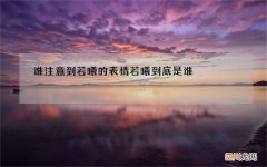 谁注意到若曦的表情 若曦到底是谁