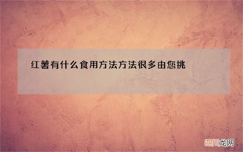 红薯有什么食用方法 方法很多由您挑