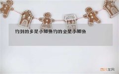 钓到的多是小鲫鱼 钓的全是小鲫鱼