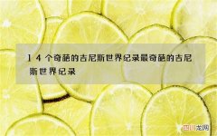 14个奇葩的吉尼斯世界纪录 最奇葩的吉尼斯世界纪录