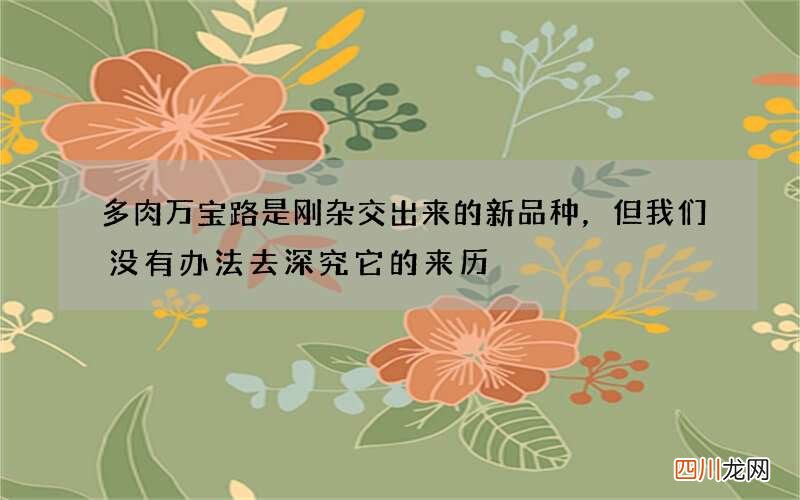 多肉万宝路是刚杂交出来的新品种，但我们没有办法去深究它的来历