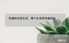 外貌协会的生肖,那个生肖是外貌协会