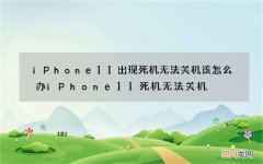 iPhone11出现死机无法关机该怎么办 iPhone11死机无法关机