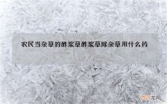 农民当杂草的酢浆草 酢浆草除杂草用什么药