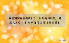 我爱测字网生肖虎2018年每月运势,属虎人2018狗年每月运程【男命篇】