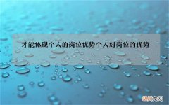 才能体现个人的岗位优势 个人对岗位的优势