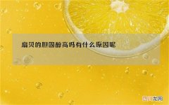 扇贝的胆固醇高吗 有什么原因呢