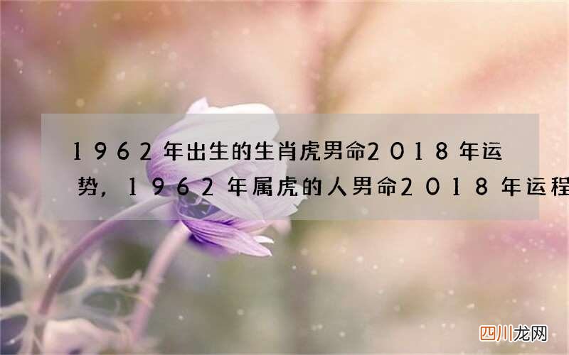 1962年出生的生肖虎男命2018年运势,1962年属虎的人男命2018年运程