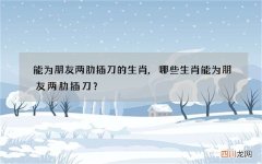 能为朋友两肋插刀的生肖,哪些生肖能为朋友两肋插刀？