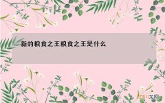 新的粮食之王 粮食之王是什么