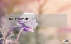 你们家里还有这个星星