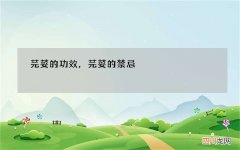 芫荽的功效，芫荽的禁忌