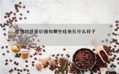 桂鱼的营养价值有哪些 桂鱼长什么样子