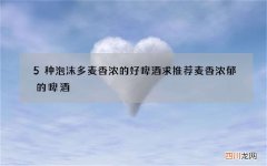 5种泡沫多麦香浓的好啤酒 求推荐麦香浓郁的啤酒