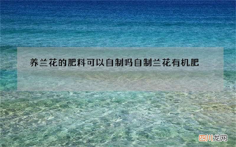 养兰花的肥料可以自制吗 自制兰花有机肥