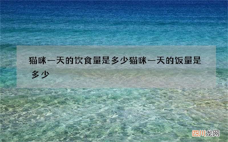 猫咪一天的饮食量是多少 猫咪一天的饭量是多少
