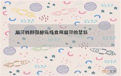 扇贝的胆固醇高吗 食用扇贝的禁忌