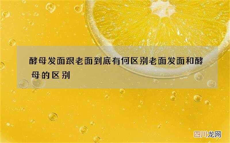 酵母发面跟老面到底有何区别 老面发面和酵母的区别