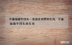 不撞南墙不回头一条路走到黑的生肖,不撞南墙不回头的生肖