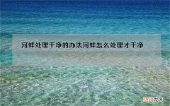 河蚌处理干净的办法 河蚌怎么处理才干净