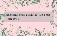 感悟婚姻的经典句子说说心情，夫妻之间感悟经典句子