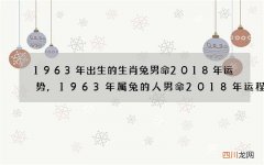 1963年出生的生肖兔男命2018年运势,1963年属兔的人男命2018年运程