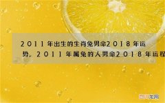 2011年出生的生肖兔男命2018年运势,2011年属兔的人男命2018年运程