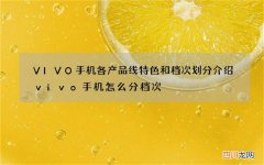 VIVO手机各产品线特色和档次划分介绍 vivo手机怎么分档次