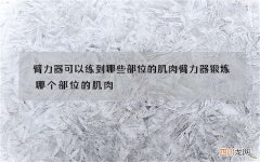 臂力器可以练到哪些部位的肌肉 臂力器锻炼哪个部位的肌肉
