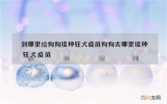 到哪里给狗狗接种狂犬疫苗 狗狗去哪里接种狂犬疫苗