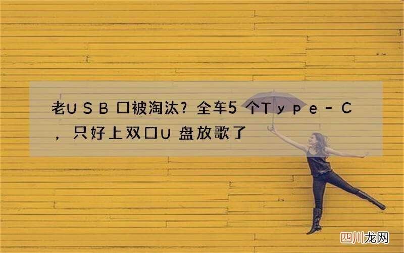 老USB口被淘汰？全车5个Type-C，只好上双口U盘放歌了